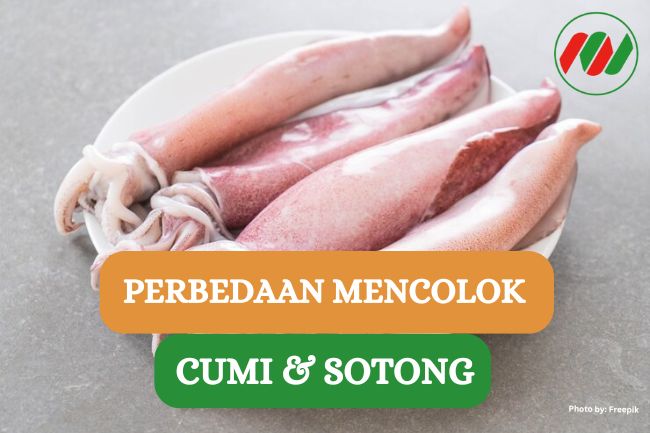 4 Perbedaan Cumi dan Sotong yang Harus Kamu Tau